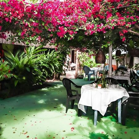 Pousada Terra Do Sol Pipa Praia de Pipa Ngoại thất bức ảnh