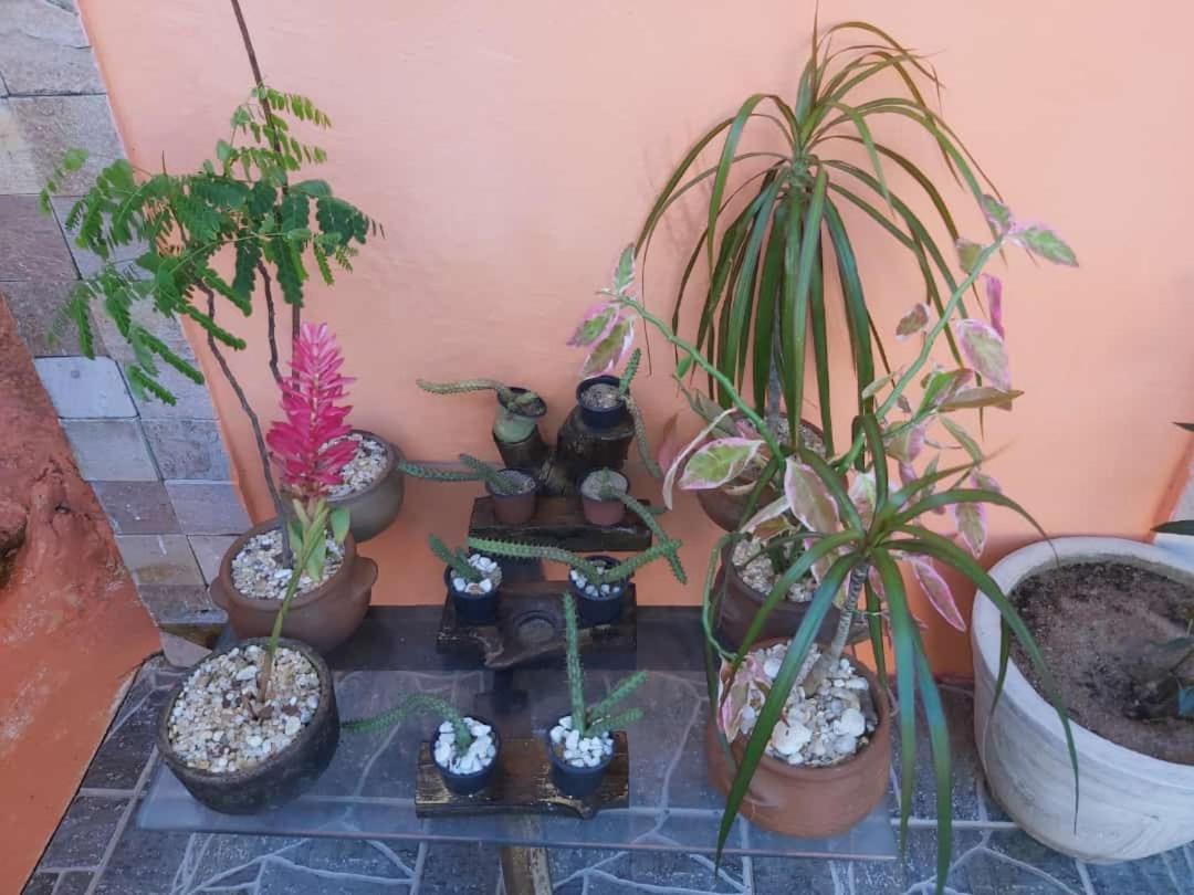 Pousada Terra Do Sol Pipa Praia de Pipa Ngoại thất bức ảnh