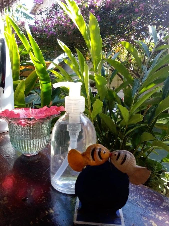 Pousada Terra Do Sol Pipa Praia de Pipa Ngoại thất bức ảnh