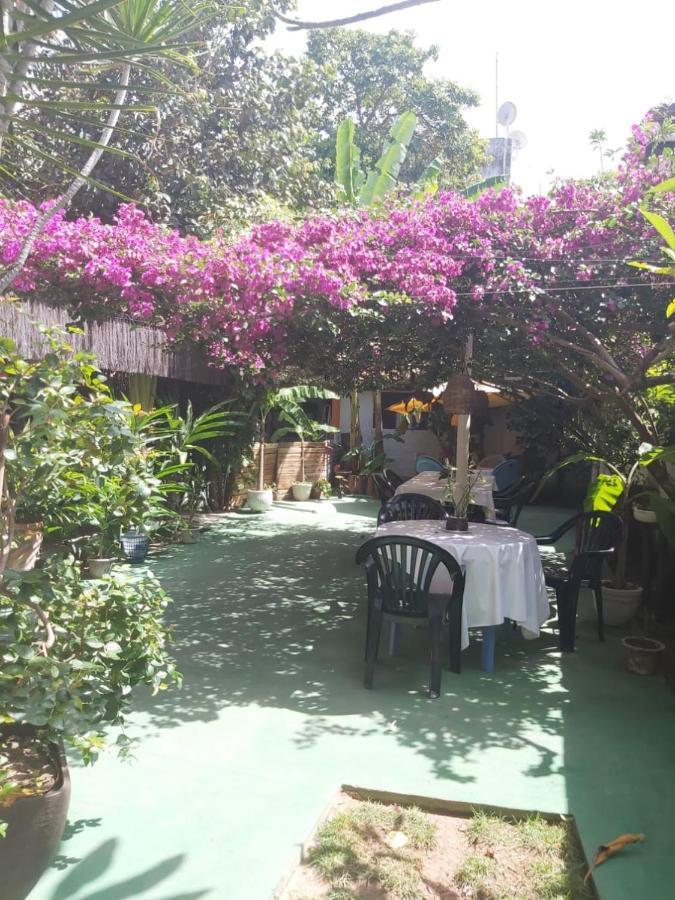 Pousada Terra Do Sol Pipa Praia de Pipa Ngoại thất bức ảnh