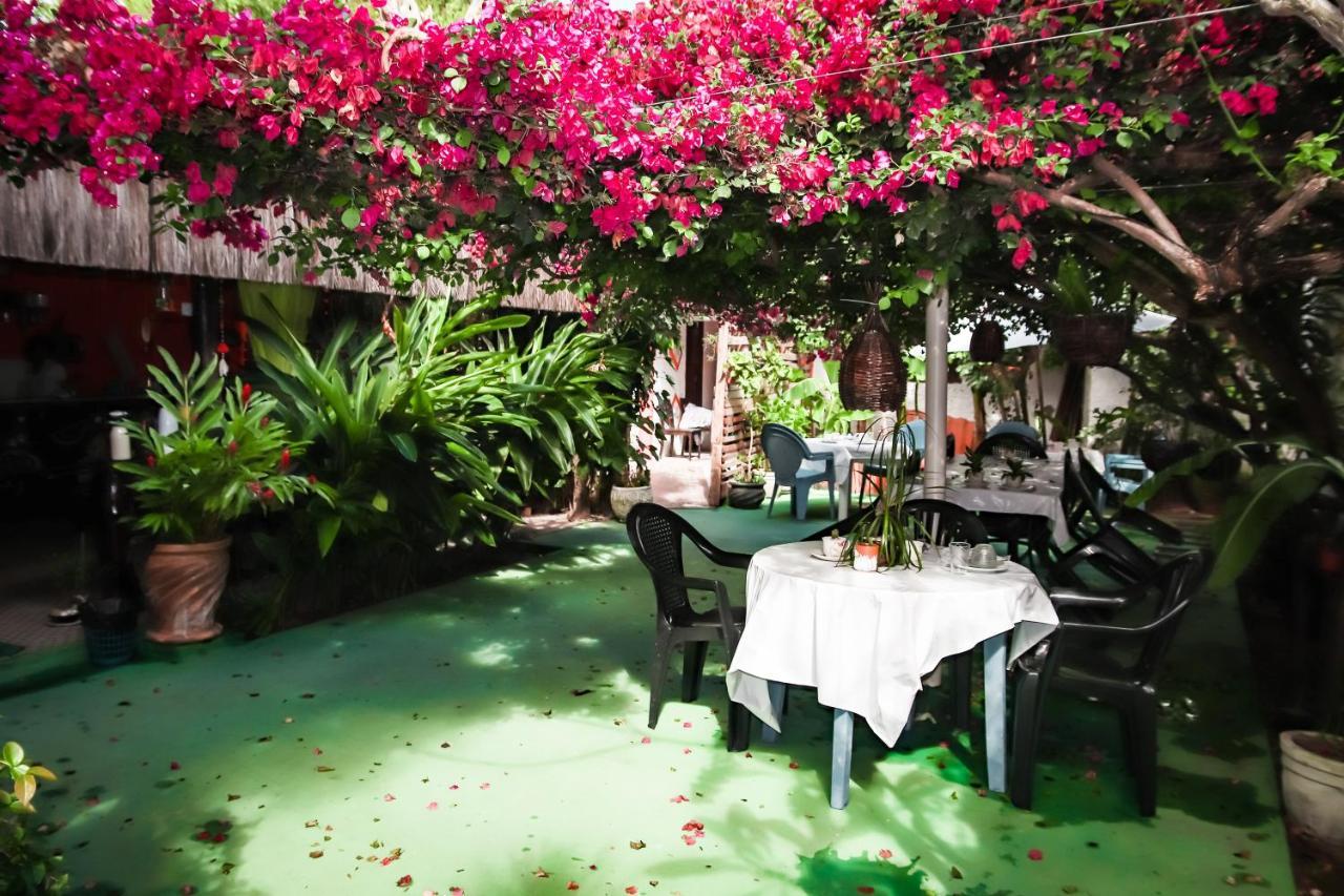 Pousada Terra Do Sol Pipa Praia de Pipa Ngoại thất bức ảnh